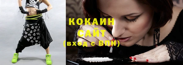винт Абаза