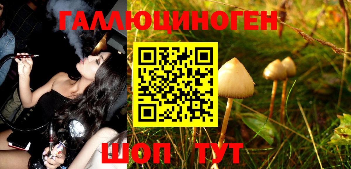 Псилоцибиновые грибы MAGIC MUSHROOMS  Галлюциногенные грибы Magic Shrooms  купить   Вход с VPN  Нальчик 