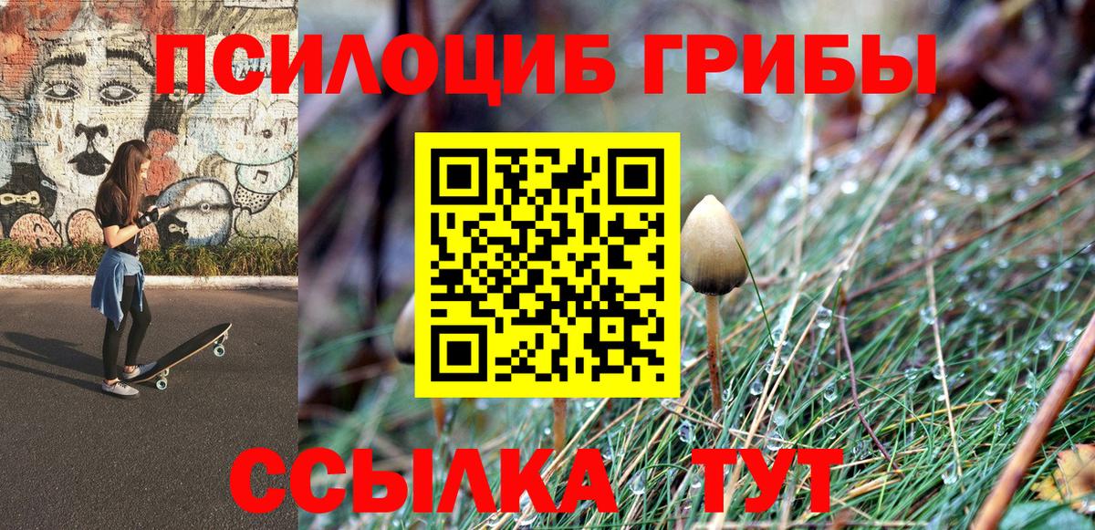 Галлюциногенные грибы мицелий Нальчик